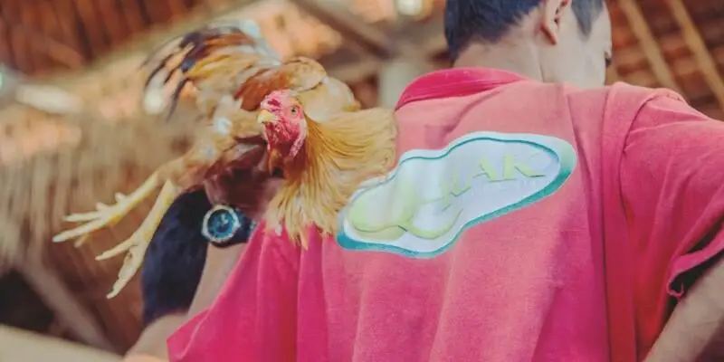 Xem Màu Mạng Gà Đá theo ngày